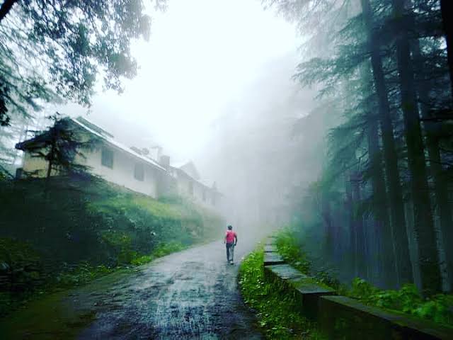 Chail quiet among the pines