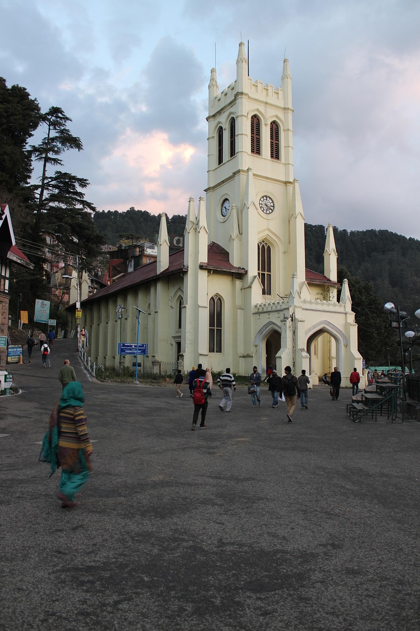Shimla mountain charm and pine horizons